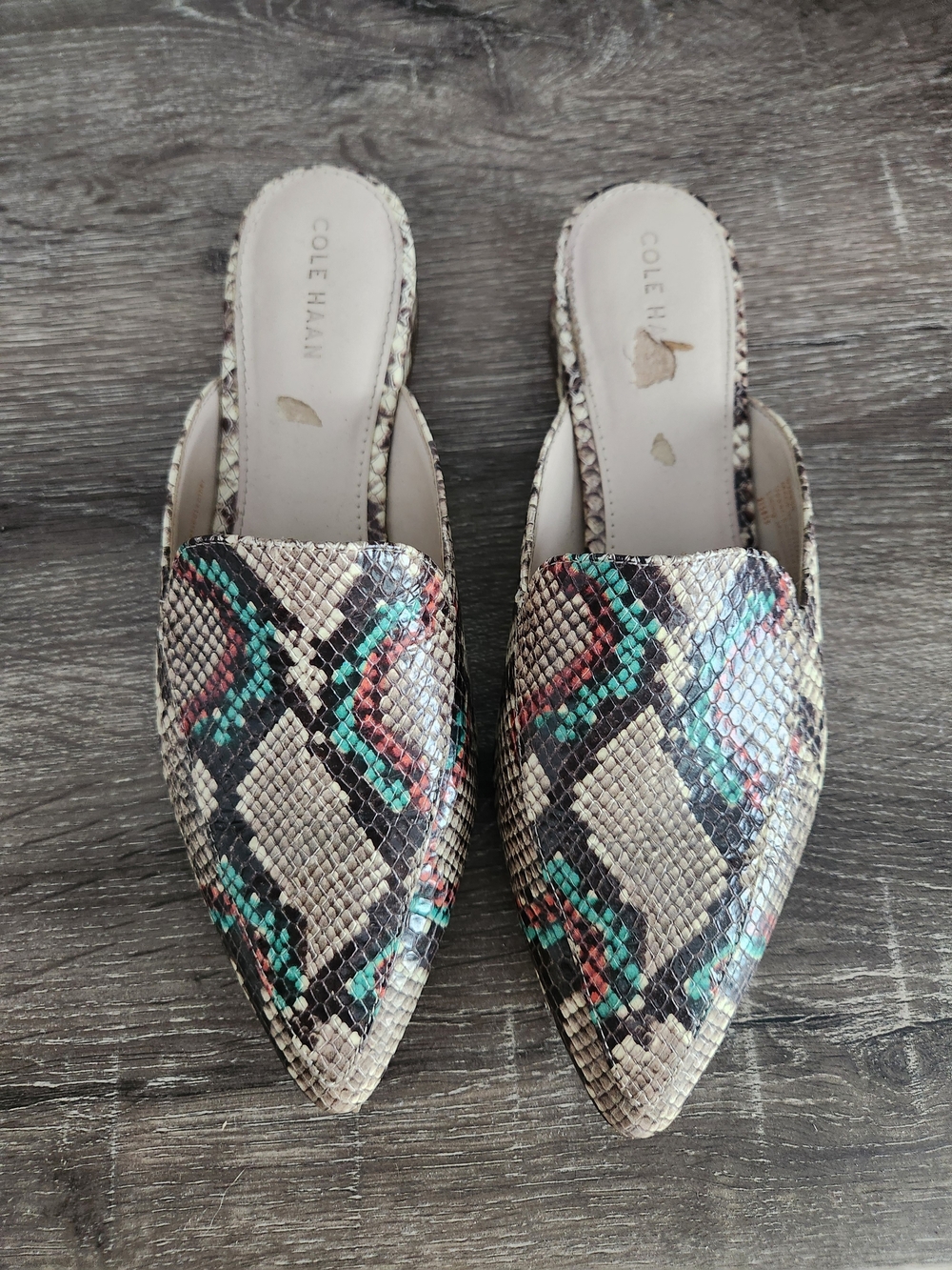 Cole Haan Women's Snakeskin-Print Pointed Mule - Beige with Teal & Coral Accents